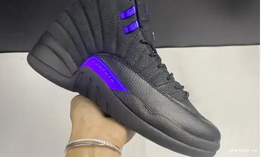 Air CT8013-005 Retro Jordan 12 CT8013-005 Black Dark Concord 0417